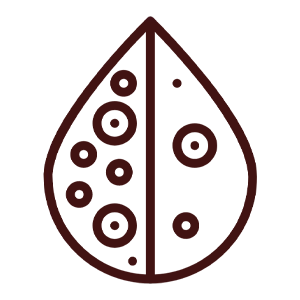 Anaemia