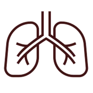 Prevents respiratory problems
